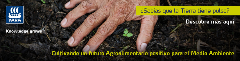 20231215-megabannernoticia-yara