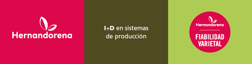202405-megabannernoticia-hernandorena