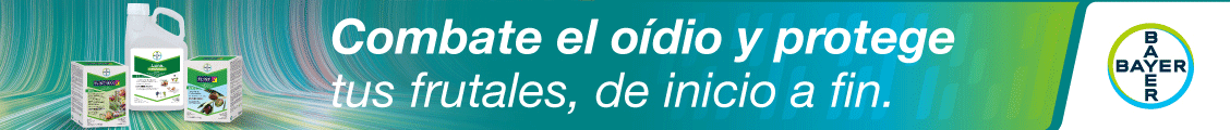 https://www.cropscience.bayer.es/productos/proteccion-de-cultivos/estrategias-bayer-para-cultivos/estrategias-bayer-frutales