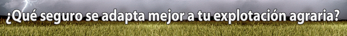 https://simuladorseguros.coag.com.es/