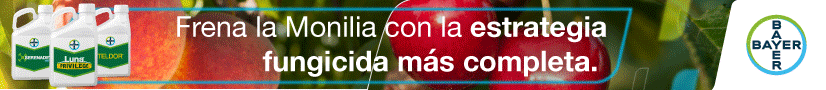 https://www.cropscience.bayer.es/productos/proteccion-de-cultivos/estrategias-bayer-para-cultivos/estrategias-bayer-frutales