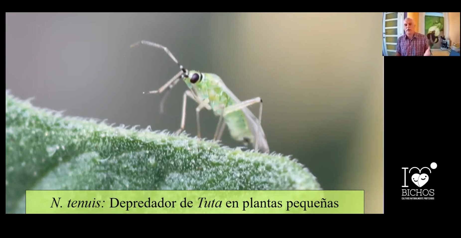 imagen principal noticia