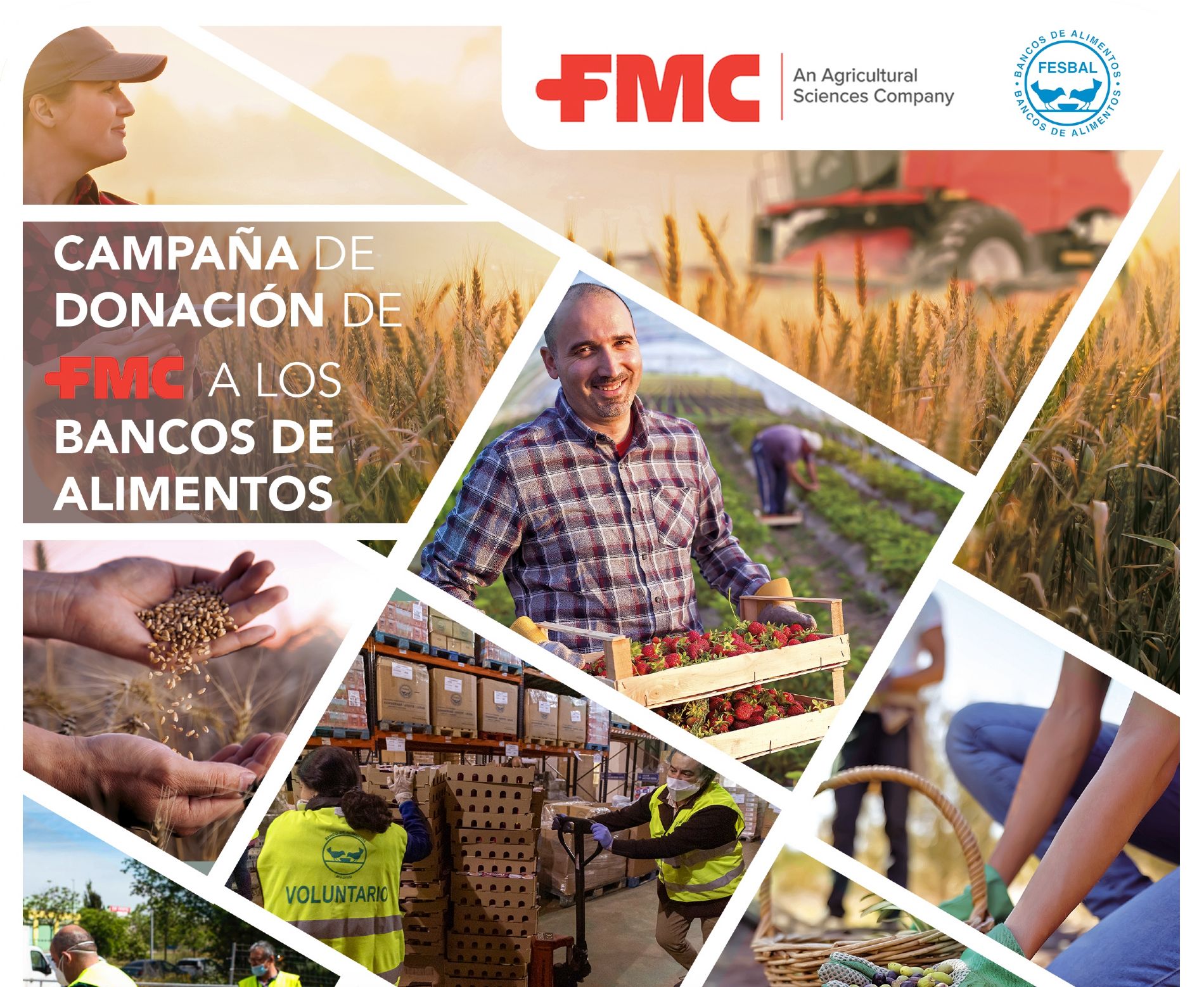 imagen principal noticia
