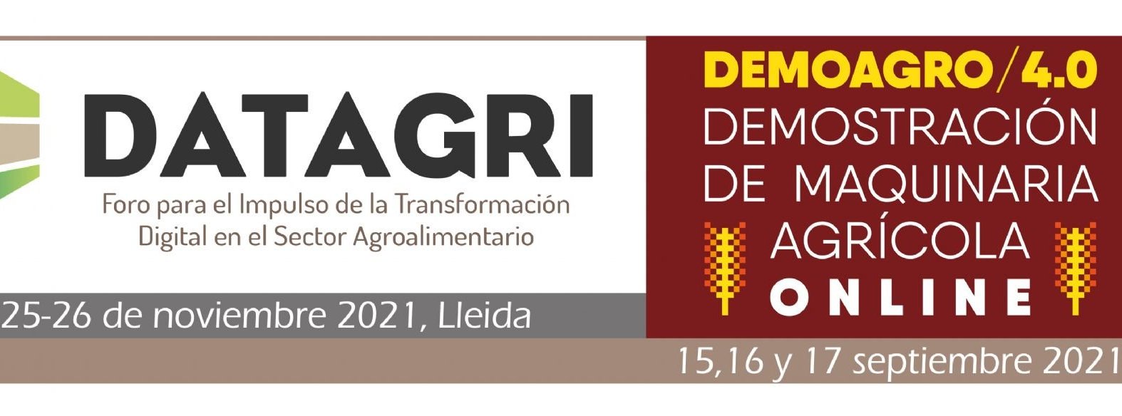 imagen principal noticia