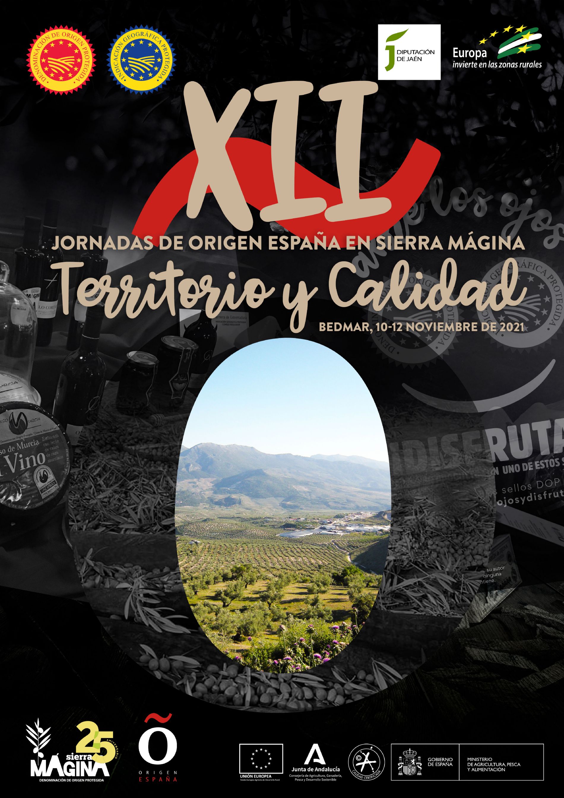 imagen principal noticia