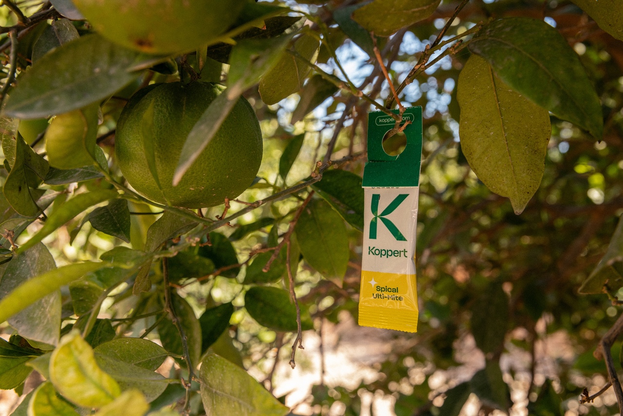 Azufre cobre origen biológico para control enfermedades cítricos viñedo stand Koppert Fruit Attraction 