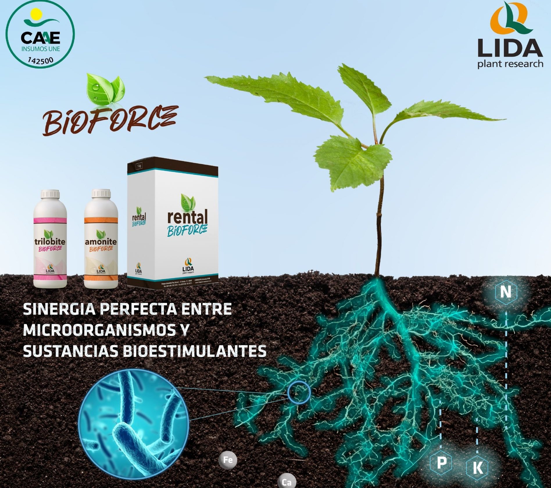 imagen principal noticia