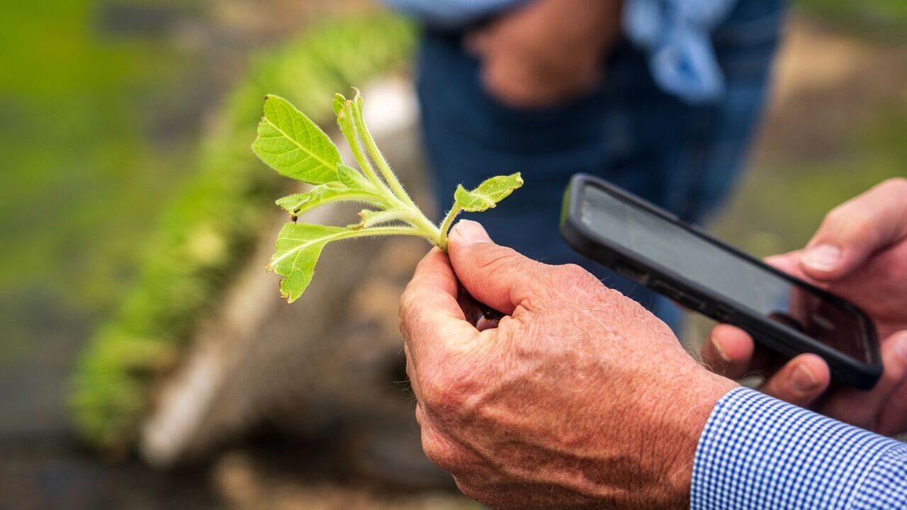 ministerio-asociacion-datagri-renuevan-colaboracion-impulsando-foro-digitalizacion-sector-agroalimentario