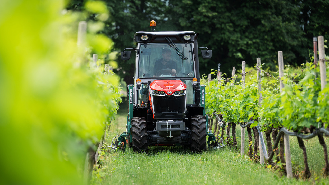 imagen principal noticia