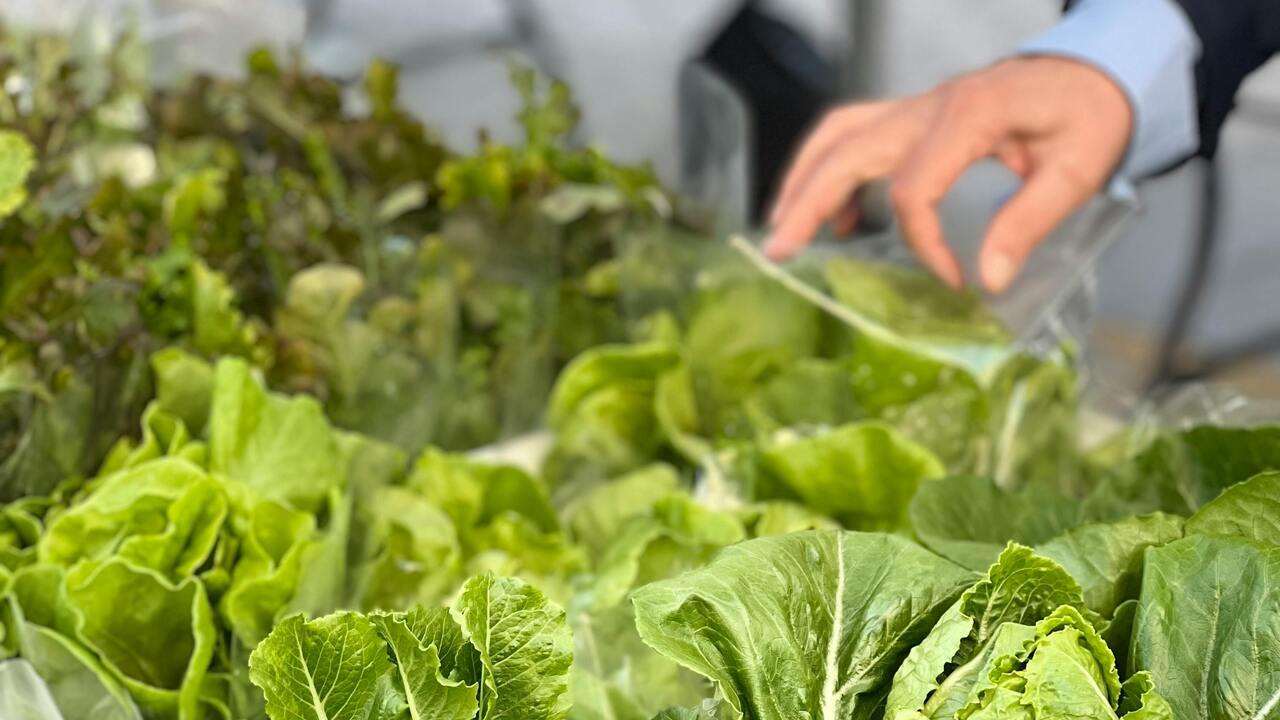 Eurocamara coto practicas desleales transfronterizas cadena agroalimentaria