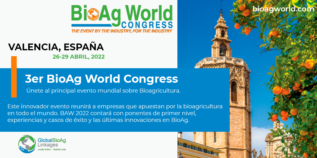 imagen principal noticia