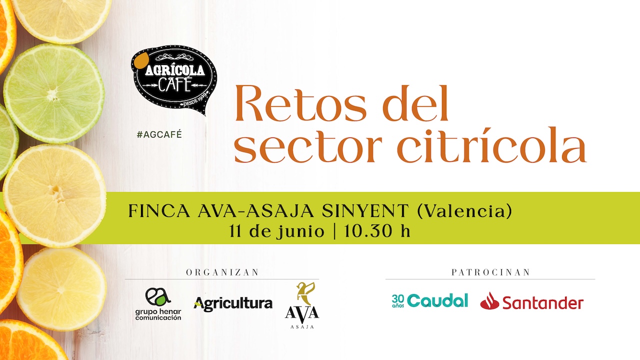 el-sector-citricola-busca-respuestas-ante-su-encrucijada-en-una-jornada-clave-en-valencia
