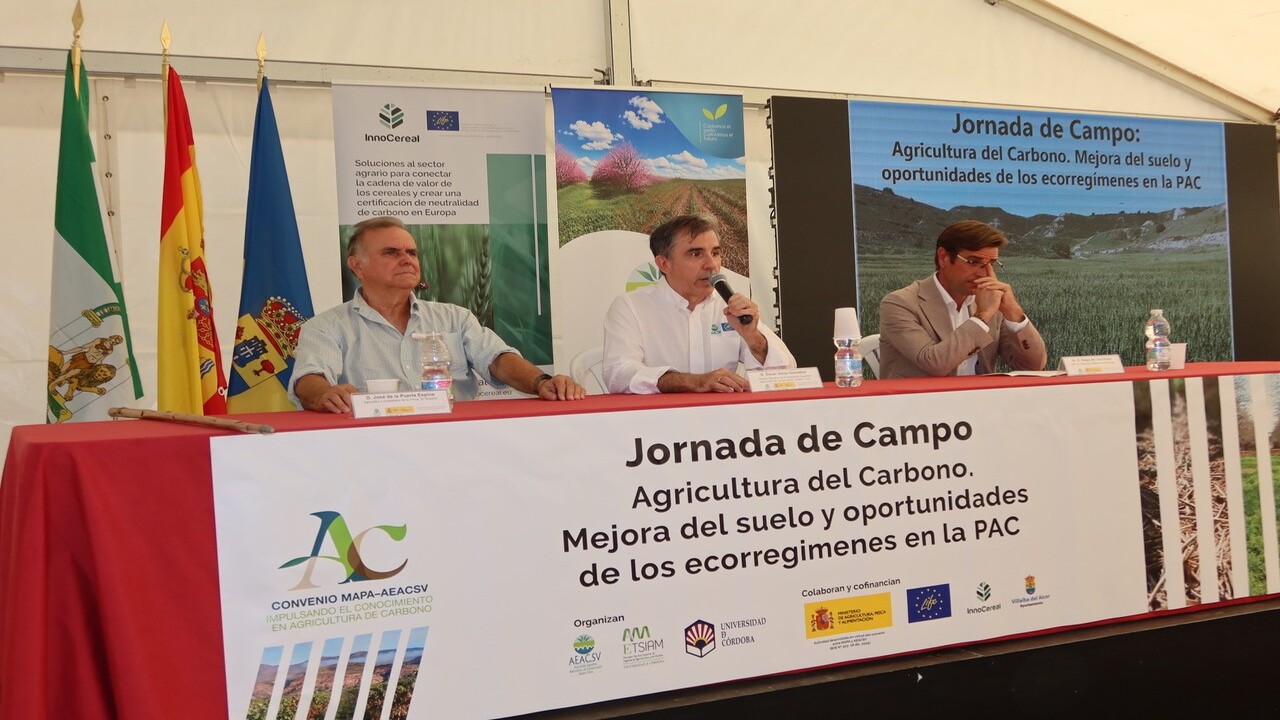 Cómo agricultura conservación capaz regenerar suelo para lograr excelentes producciones