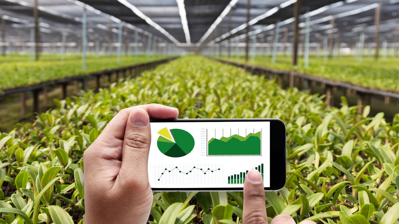 fondos plan Renove maquinaria agraria 2026 asignados 1966 agricultores ganaderos