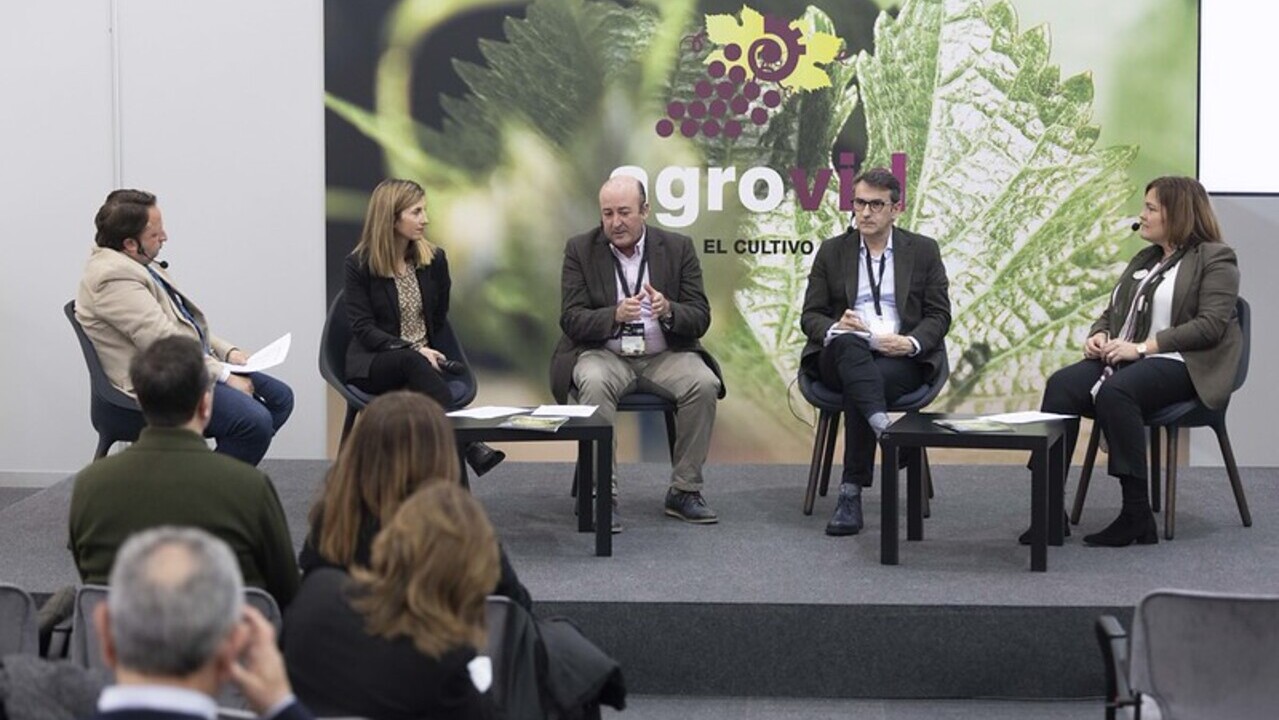 imagen principal noticia