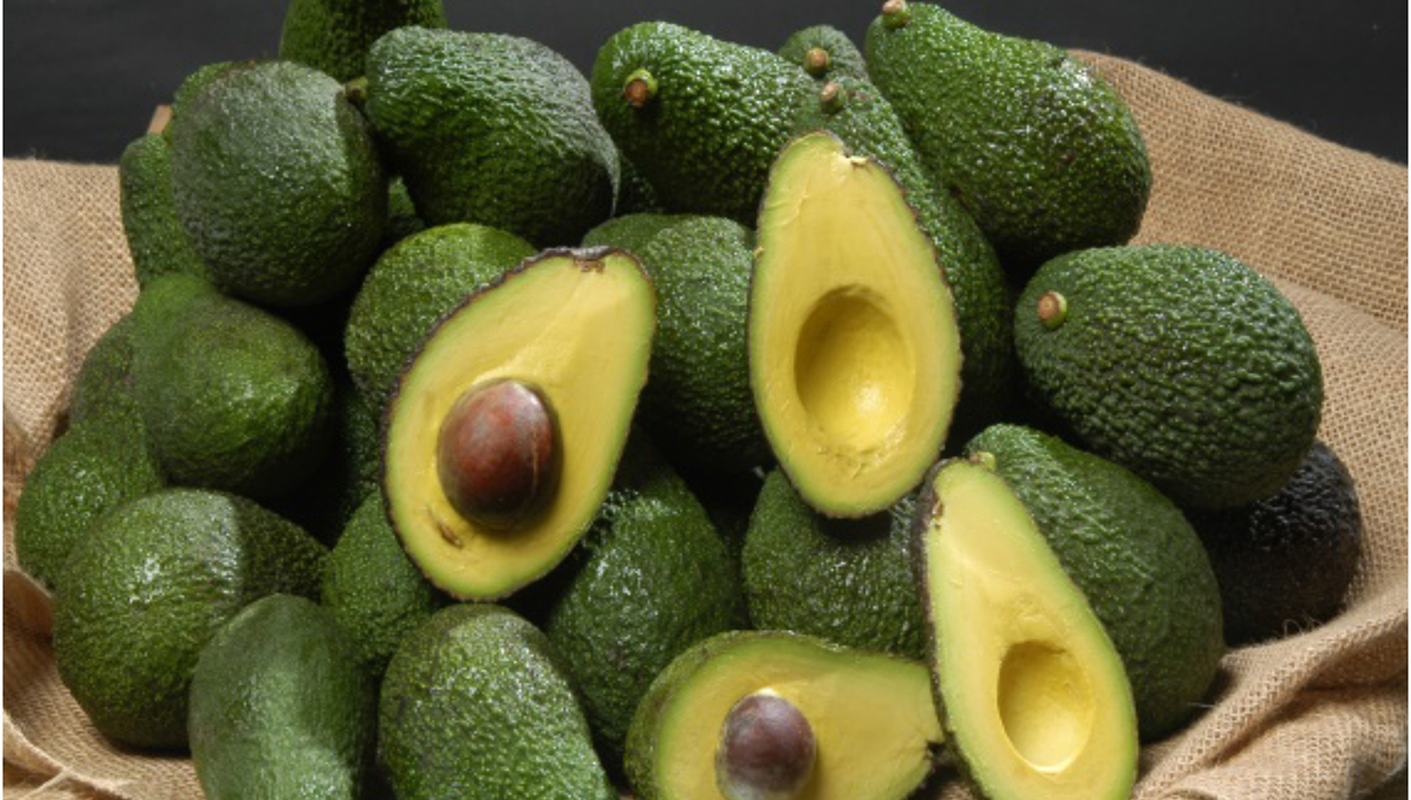 Respuesta aguacate riego deficitario conexiones producción calidad fruto