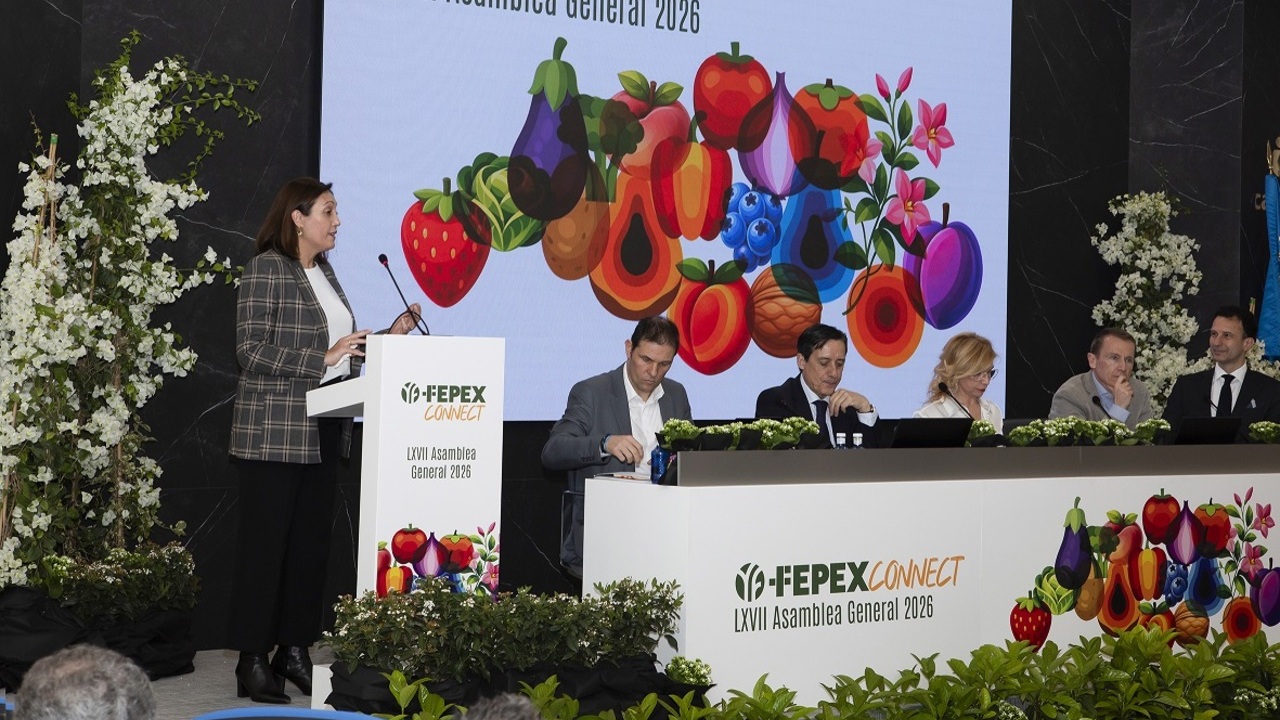 imagen principal noticia