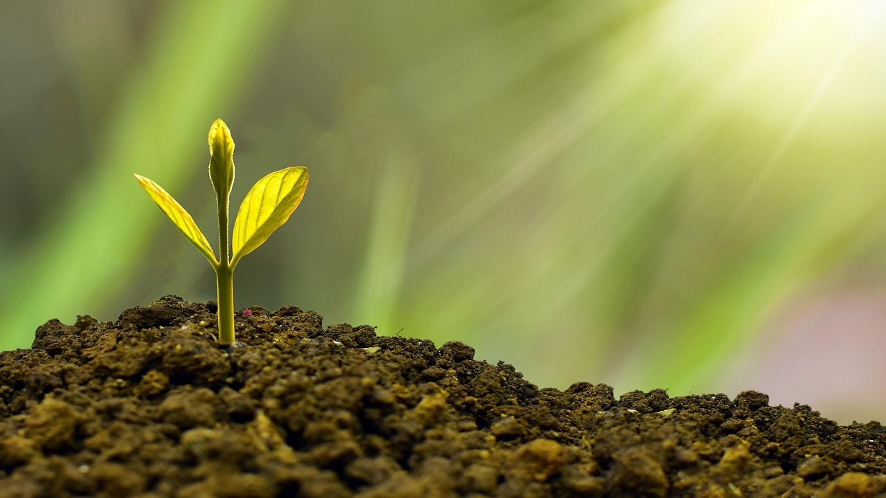 Avatares empresa agraria 