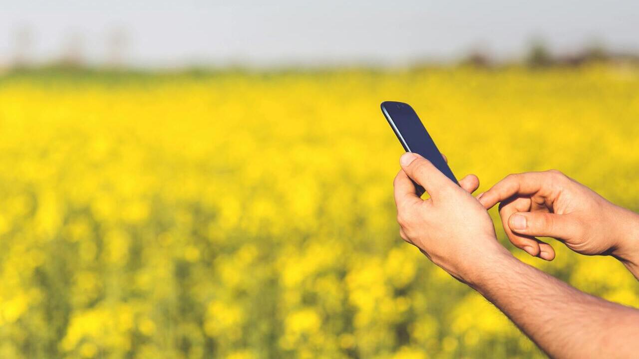 abierta-convocatoria-ayudas-favorecer-digitalizacion-agro