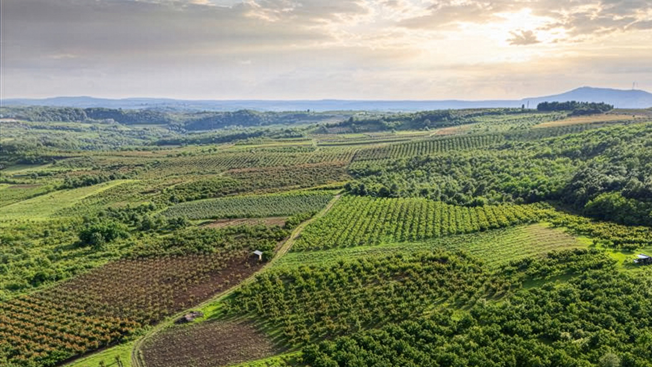 optimizar-el-uso-de-nutrientes-en-un-contexto-energetico-desafiante