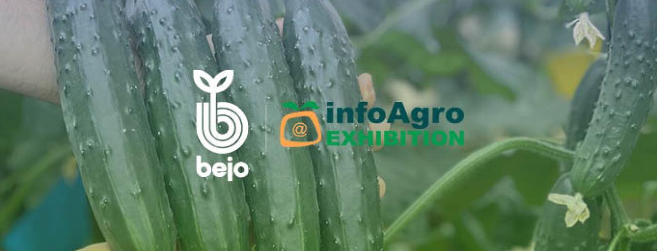 imagen principal noticia