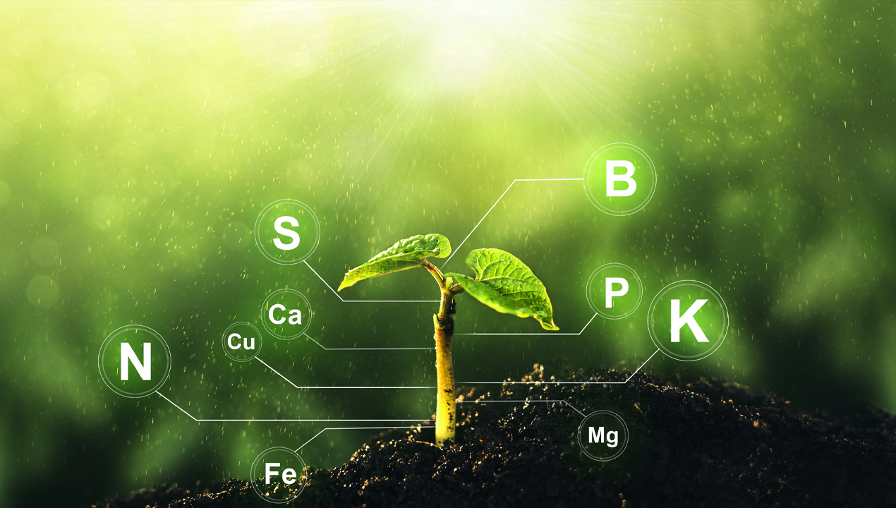 imagen principal noticia