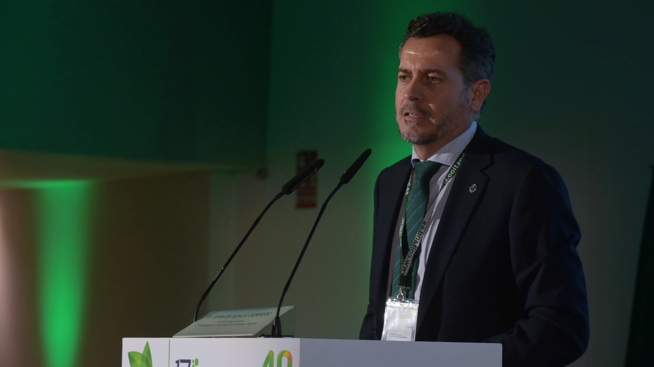 imagen principal noticia