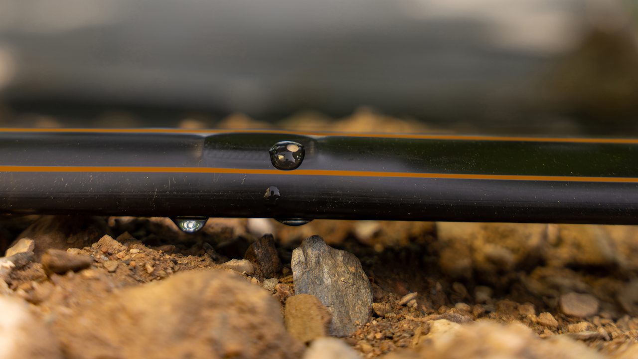 imagen principal noticia