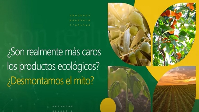 imagen principal noticia
