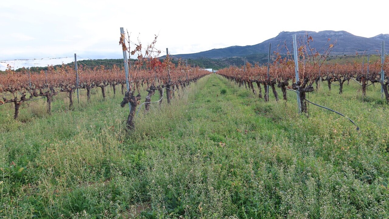 imagen principal noticia