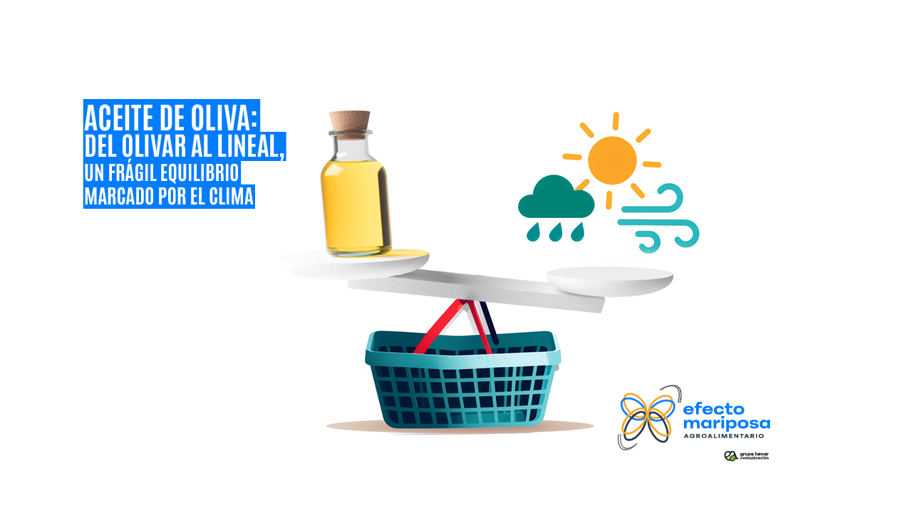 Aceite de oliva un frágil equilibrio marcado por el clima