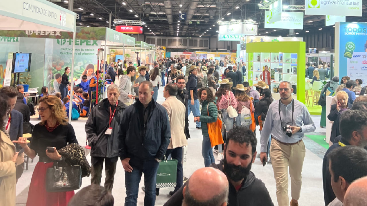 imagen principal noticia