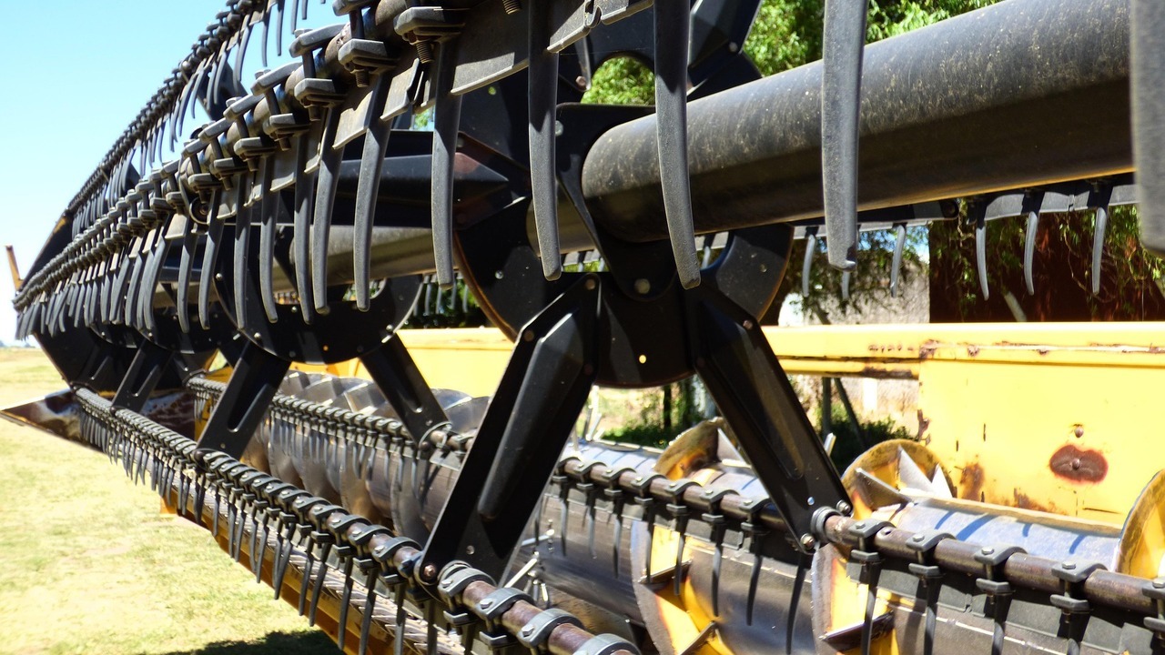 imagen principal noticia