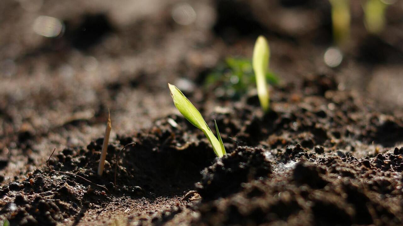 imagen principal noticia