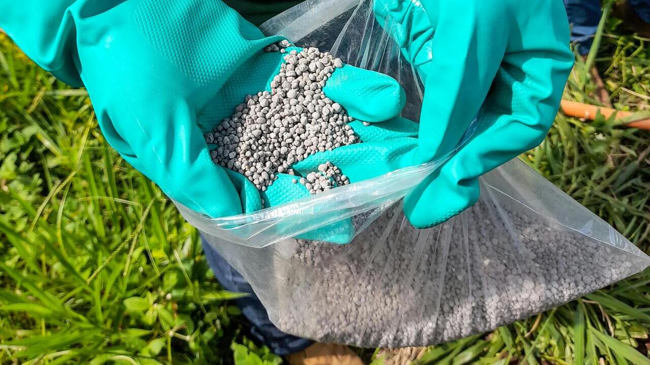 produccion-suministro-fertilizantes-riesgo-persiste-conflicto-oriente-medio