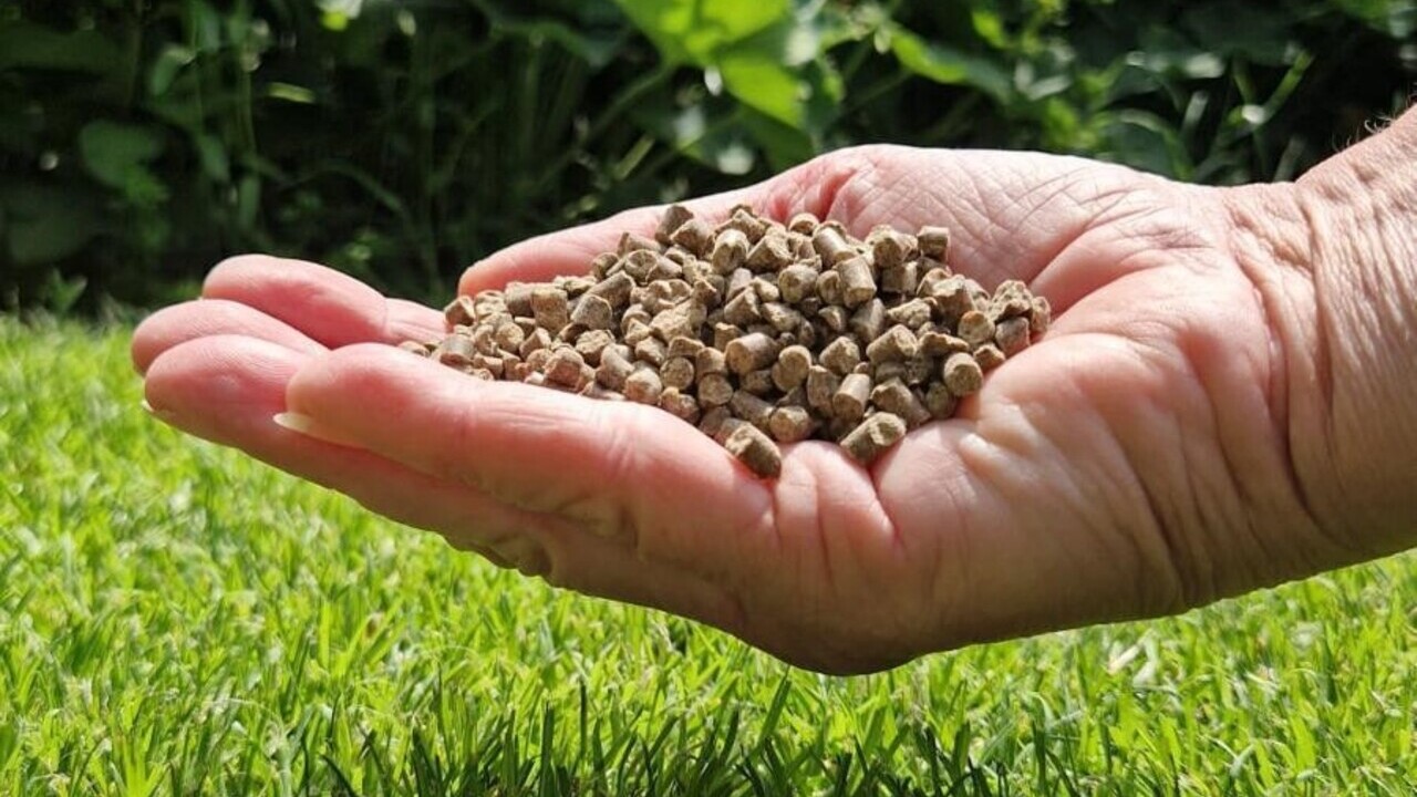 Fertilizantes organicos auge actual potencial futuro economia circular papel estrategico agricultura regenerativa