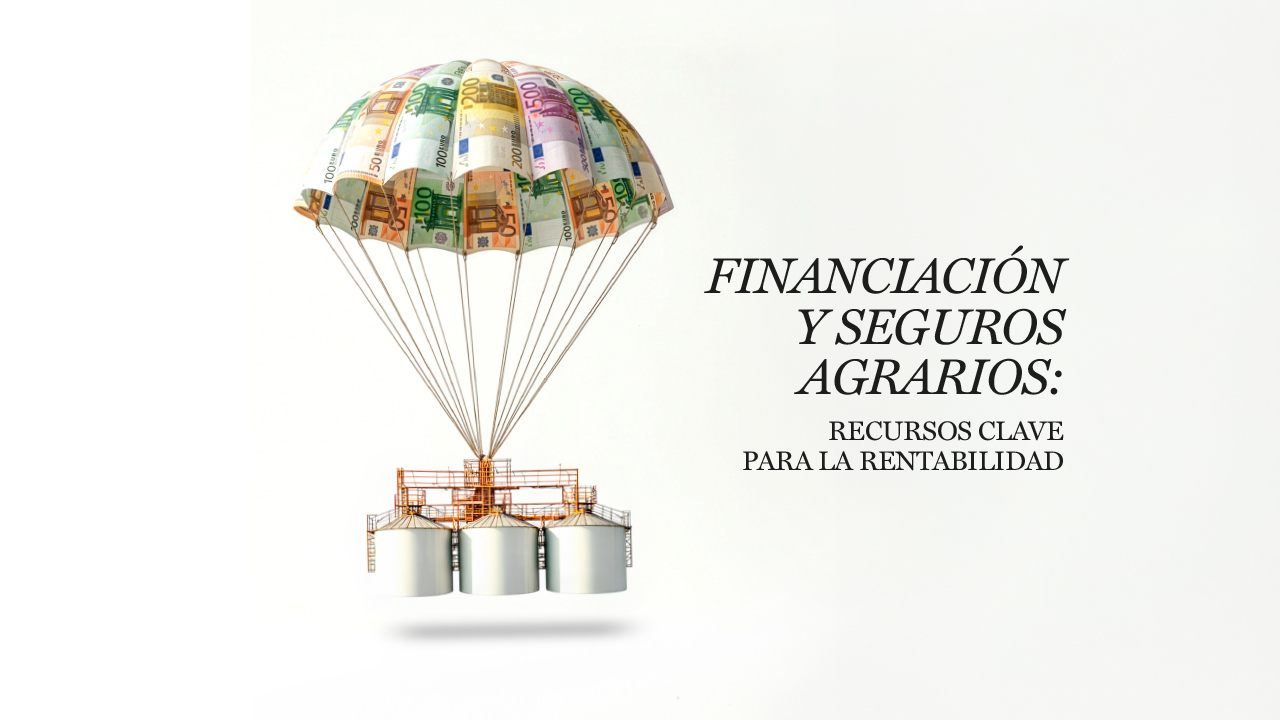 financiacion-y-seguros-agrarios-claves-para-la-rentabilidad