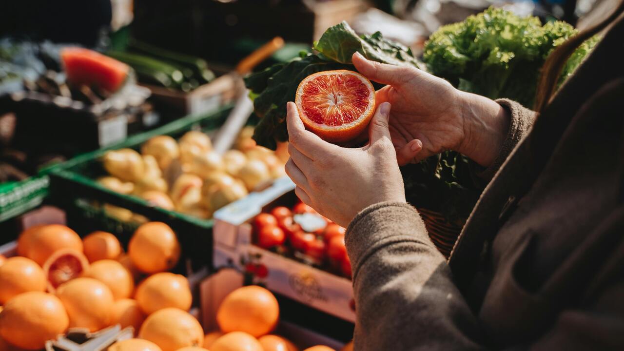 imagen principal noticia