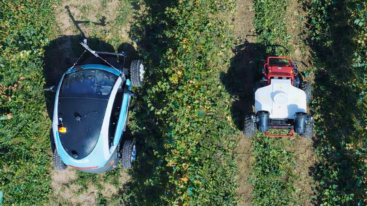 Flota robótica inteligente transformando la gestión de plagas