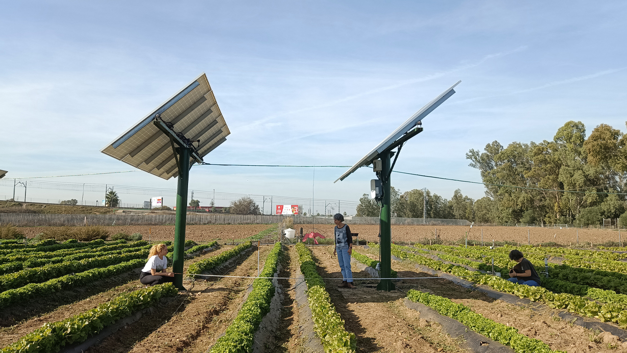 Integración agrovoltaica oportunidades retos para el agricultor