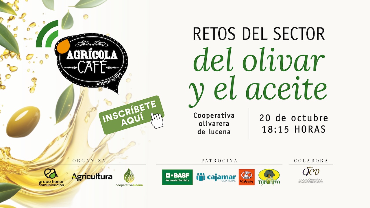 Lucena innovación y relevo generacional
