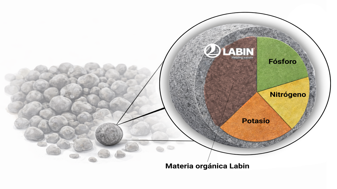 Materia orgánica tecnología Labin OrganiCore fertilizar hoy cuidando suelo mañana