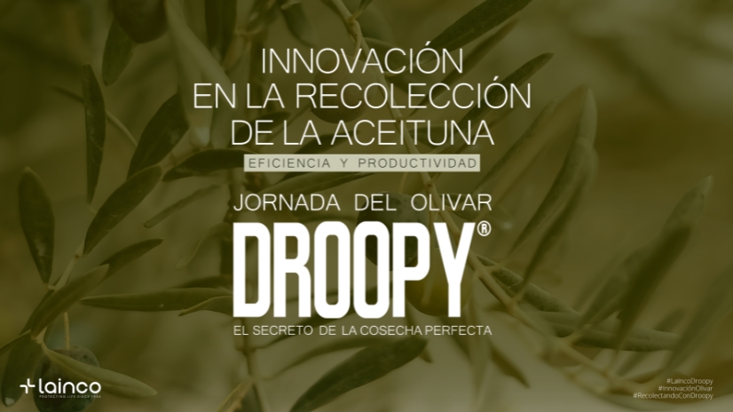 imagen principal noticia