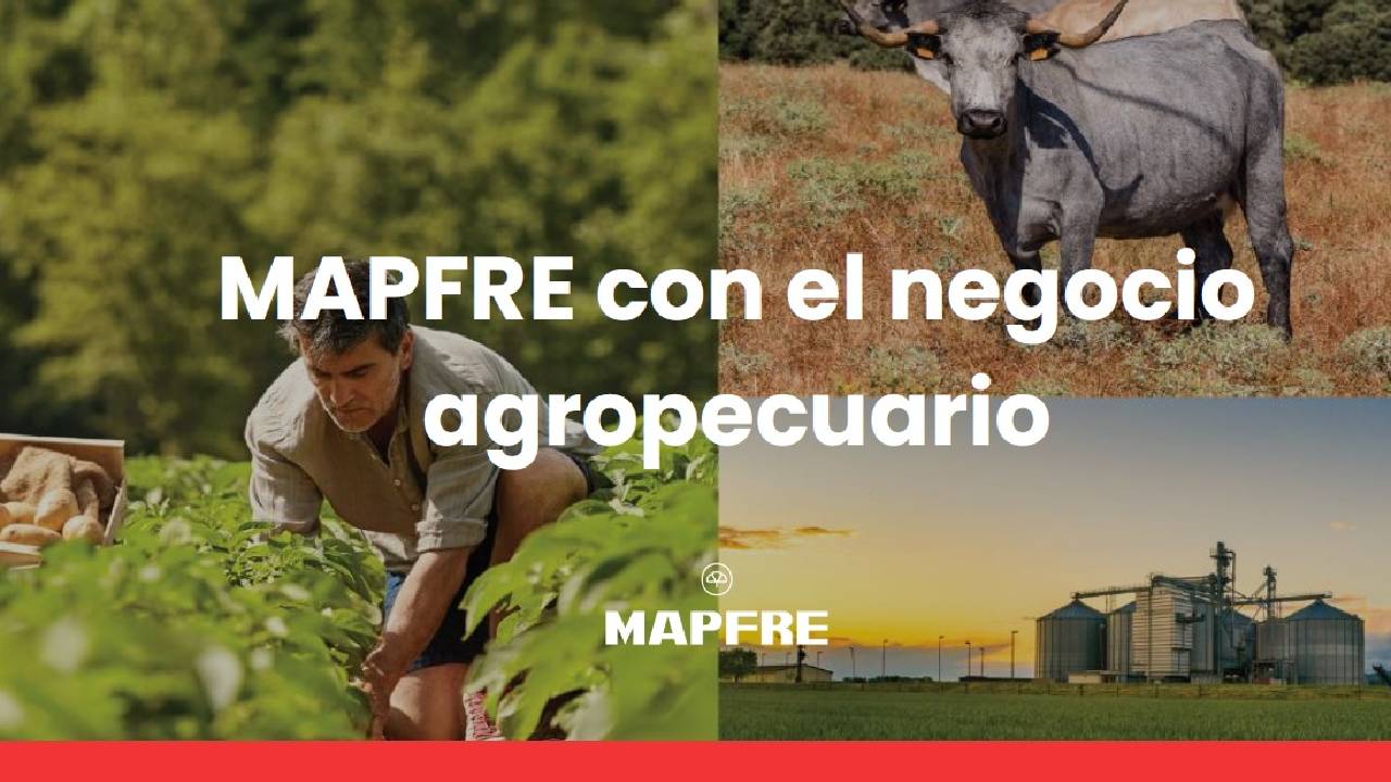 Seguros agrarios principales productos causas de siniestro oferta