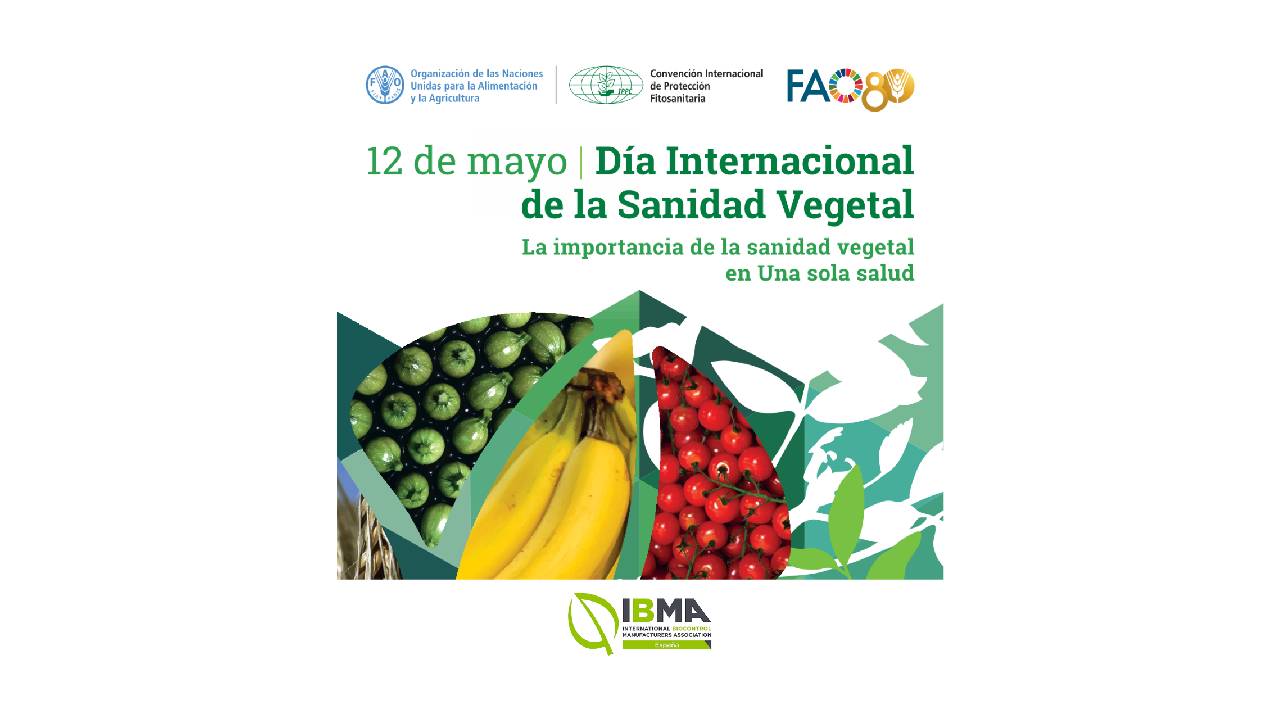 imagen principal noticia