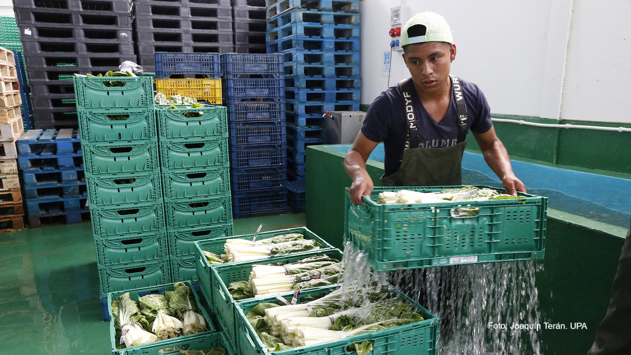 imagen principal noticia