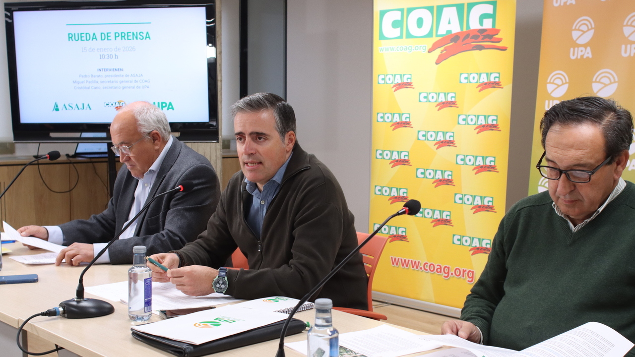 imagen principal noticia