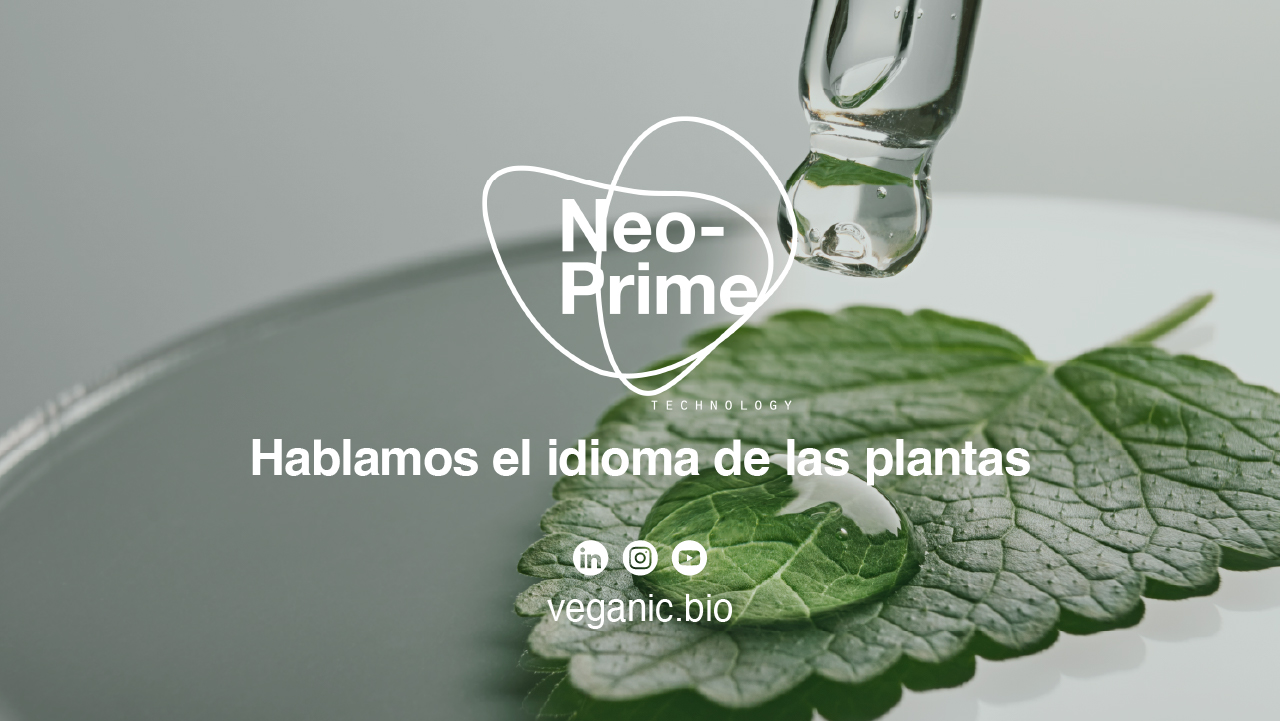 imagen principal noticia