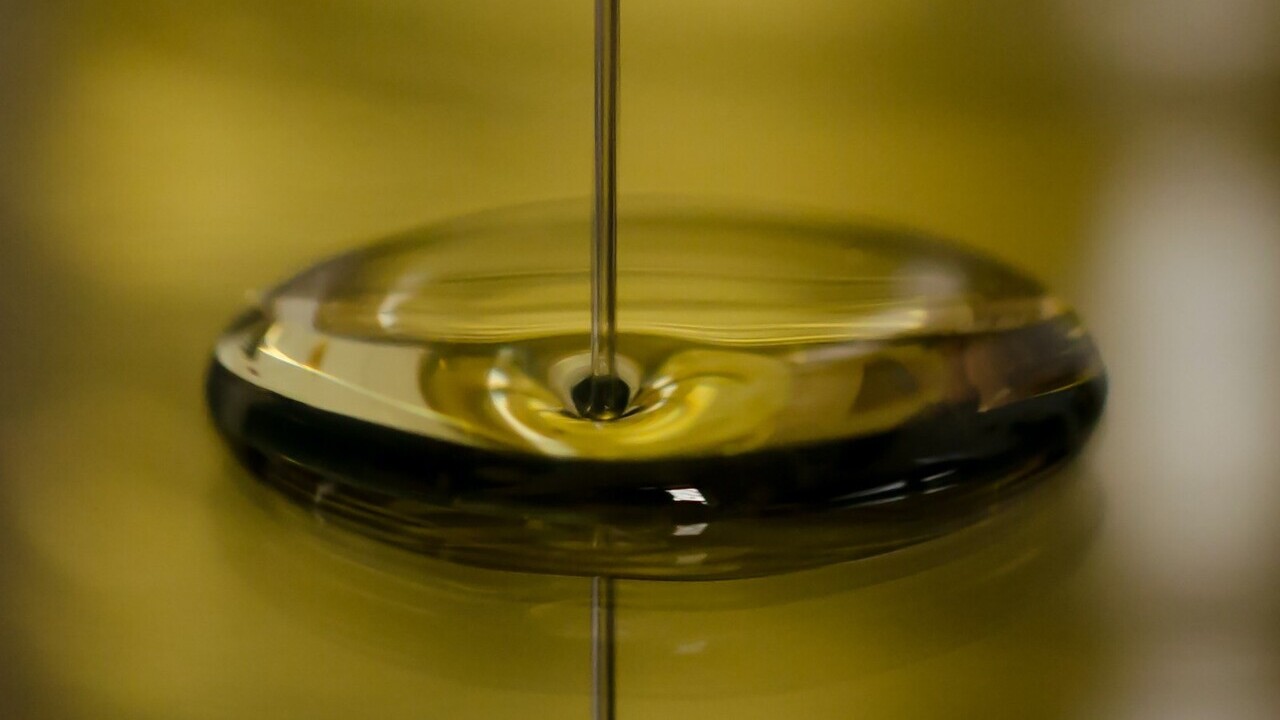 norma-comercializacion-aceite-oliva-2025-26-retirada-producto-si-sobreoferta