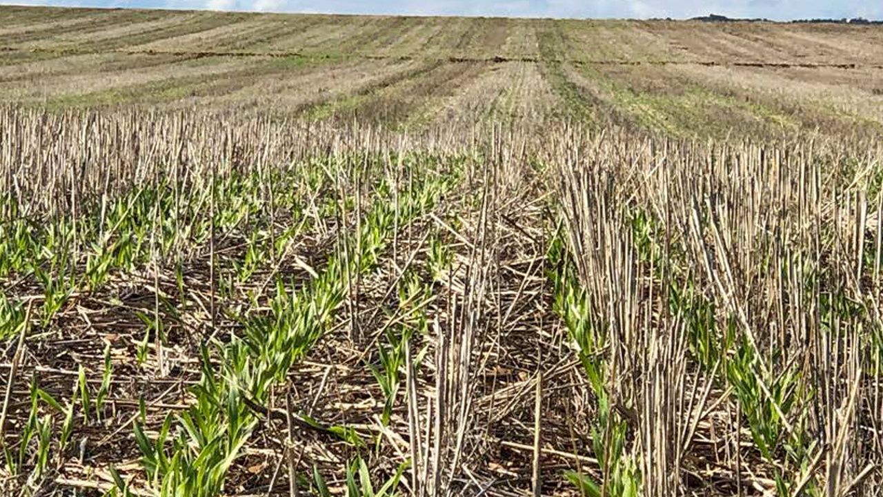 imagen principal noticia